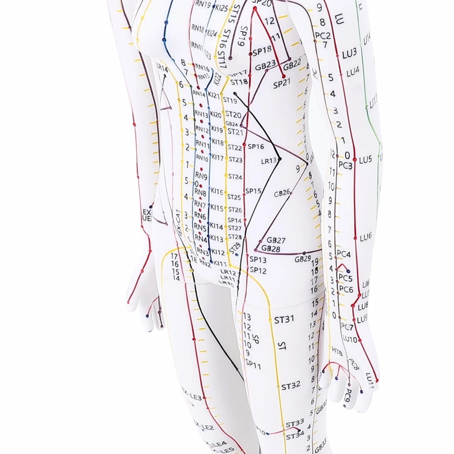52 Cm / 20,47 Pollici Bambola di Agopuntura, Modello di Agopuntura del Corpo Umano, Modello di Pressione di Manichino Maschile/femminile. (femmina)