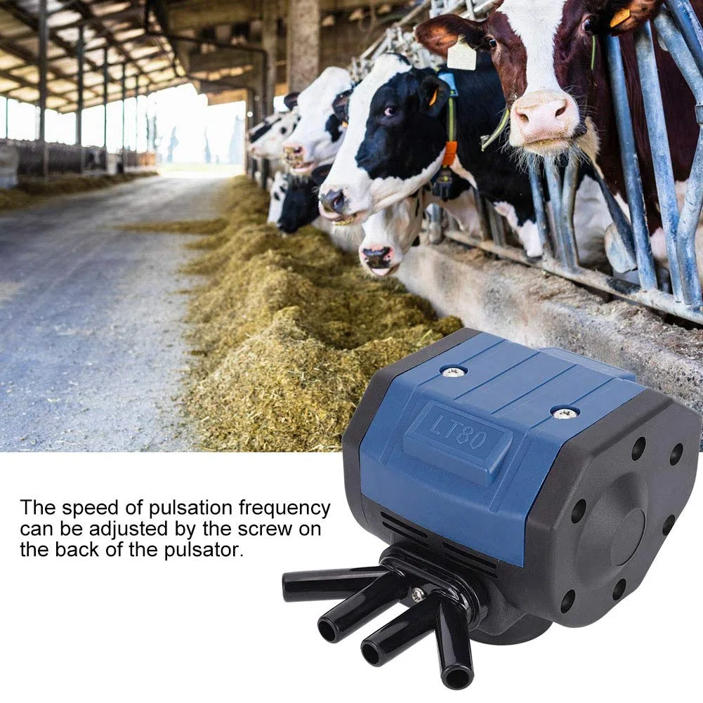 Pulsatore Pneumatico, mungitrice Universale a 4 uscite Pulsatore Pneumatico ad Aria per Attrezzatura agricola per Capra per bovini