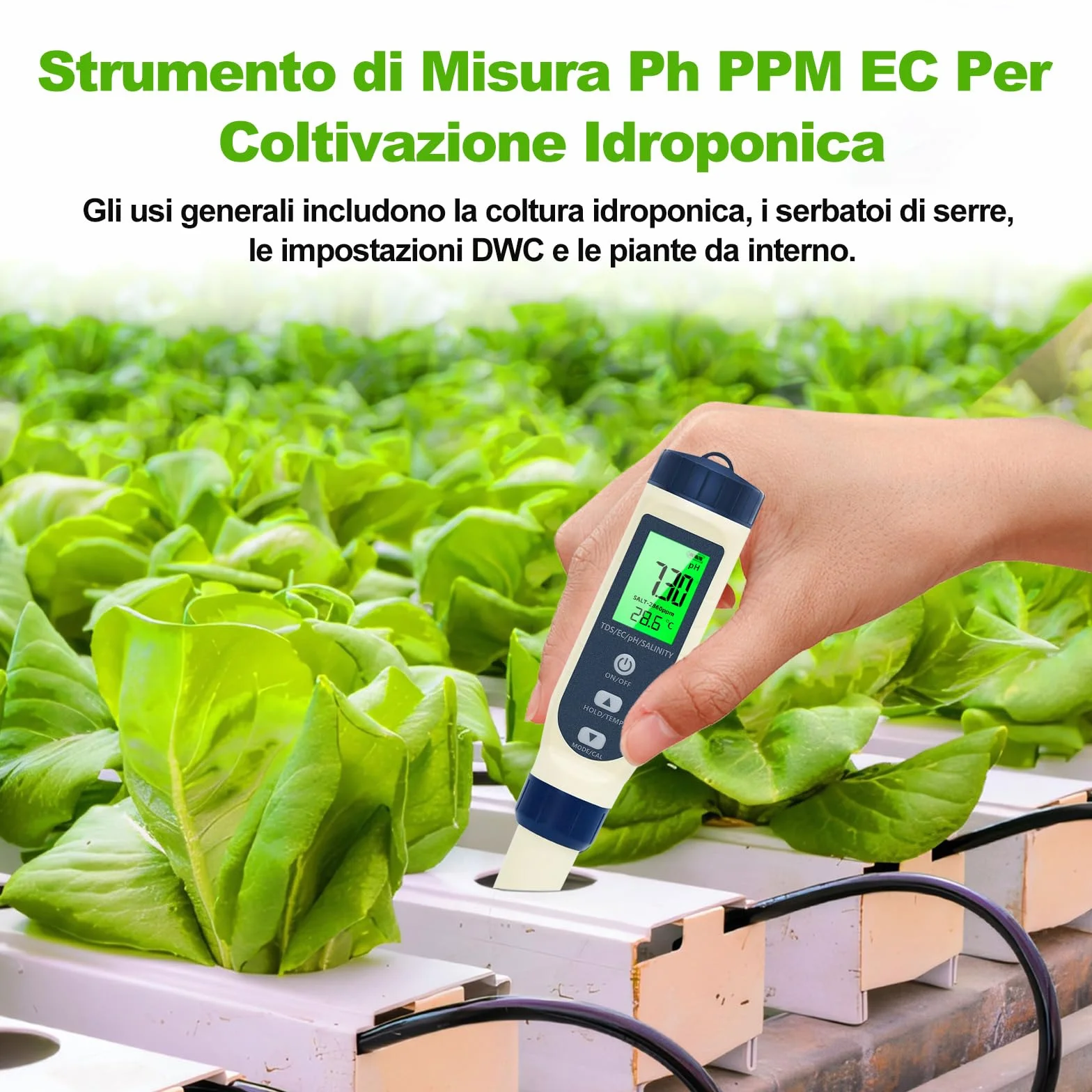 Pious Misuratore pH 5 in 1 TDS/EC/Salinità/Termometro Display LCD, Compensazione Automatica della Temperatura, per Coltura Idroponica Piscina