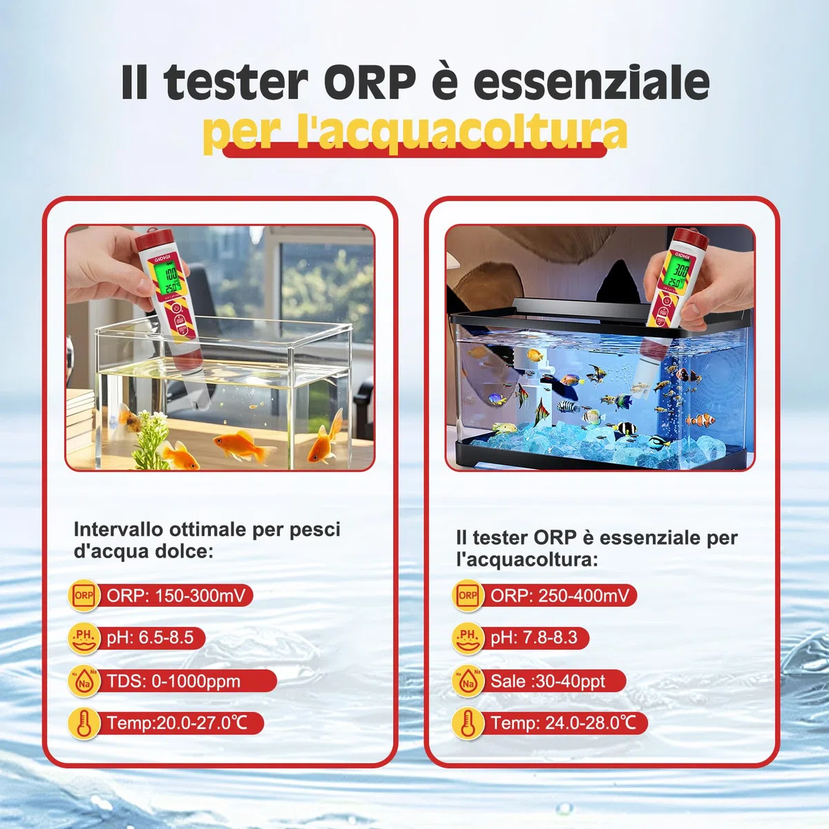 Misuratore pH digitale, 6 in 1 TDS EC Sale Temperatura pH ORP Tester con ORP 222mV Soluzione di calibrazione per piscina, spa, acqua potabile, idroponica, acquacoltura, trattamento delle acque,birra