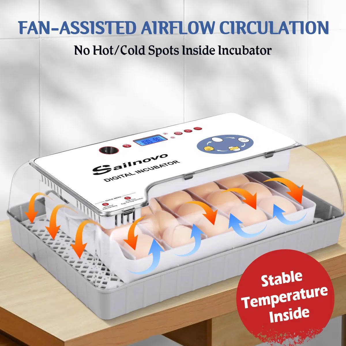 Sailnovo - 20 incubatrici per polli, altri uccelli + 20 uova + incubatrice completamente automatica + controllo della temperatura + indicatore di umidità + aggiunta di acqua esterna - bianco