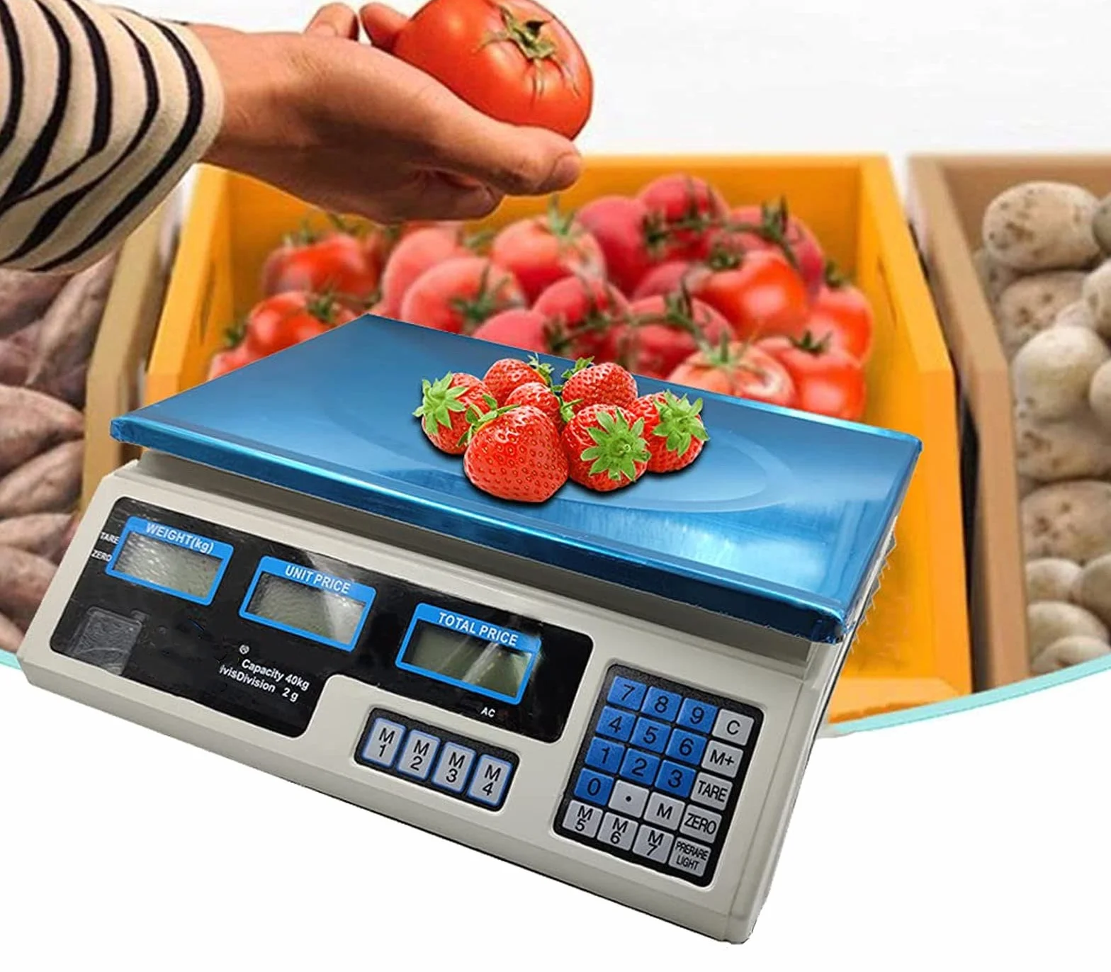 BES 13180 Bilancia Digitale Elettronica, Braccio 40 Kg, Display Elettronico, Fronte Retro