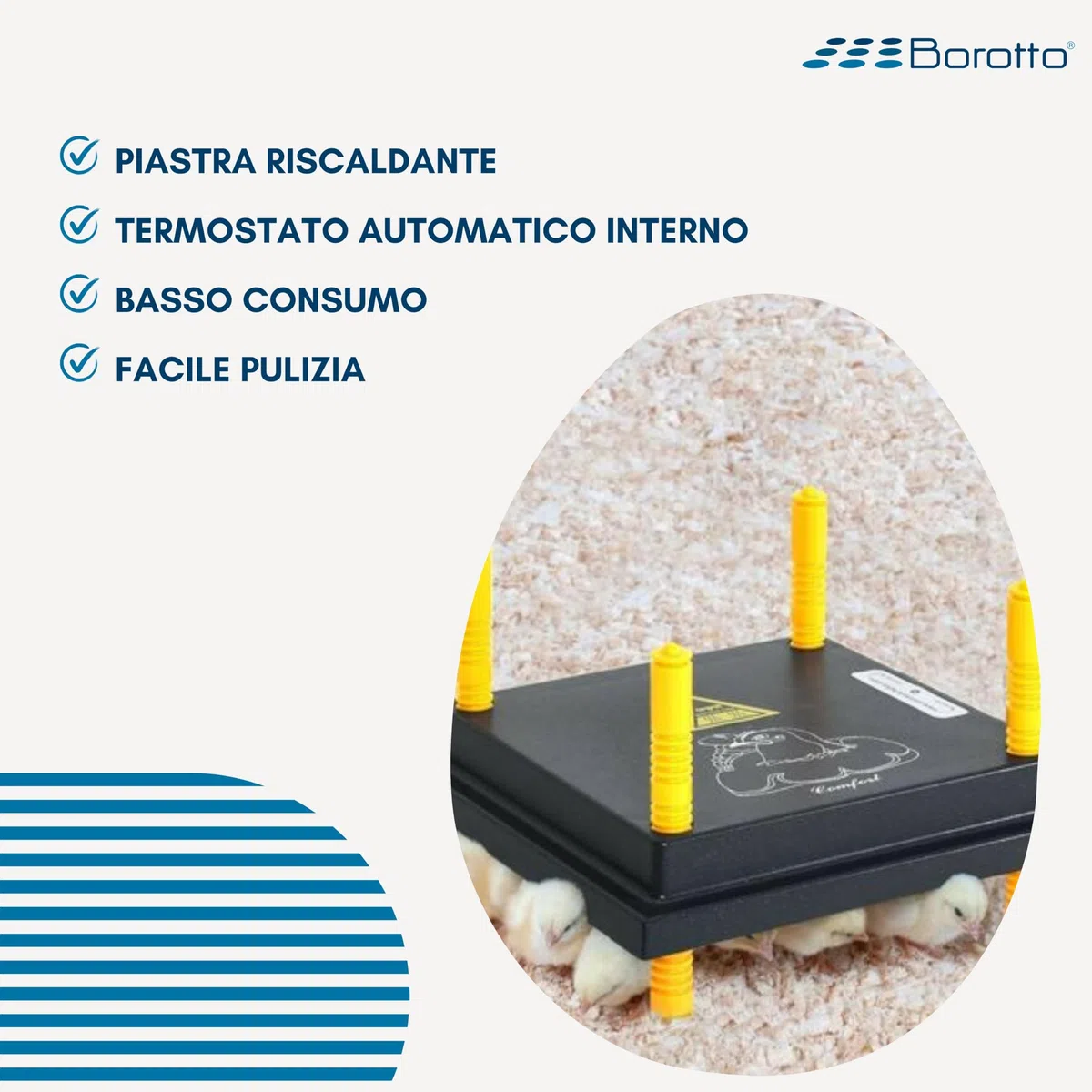 Borotto Chioccia Artificiale per Pulcini - Resistente, Facile da Pulire, Semplice da Usare - Ridotto Consumo di Energia Elettrica (15/20 Pulcini)