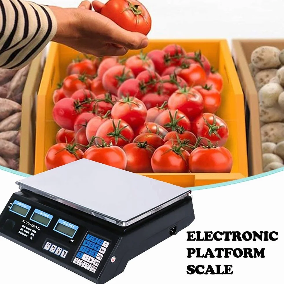 Bilancia Elettronica Digitale Professionale MAX 40 KG Divisione 2 GR