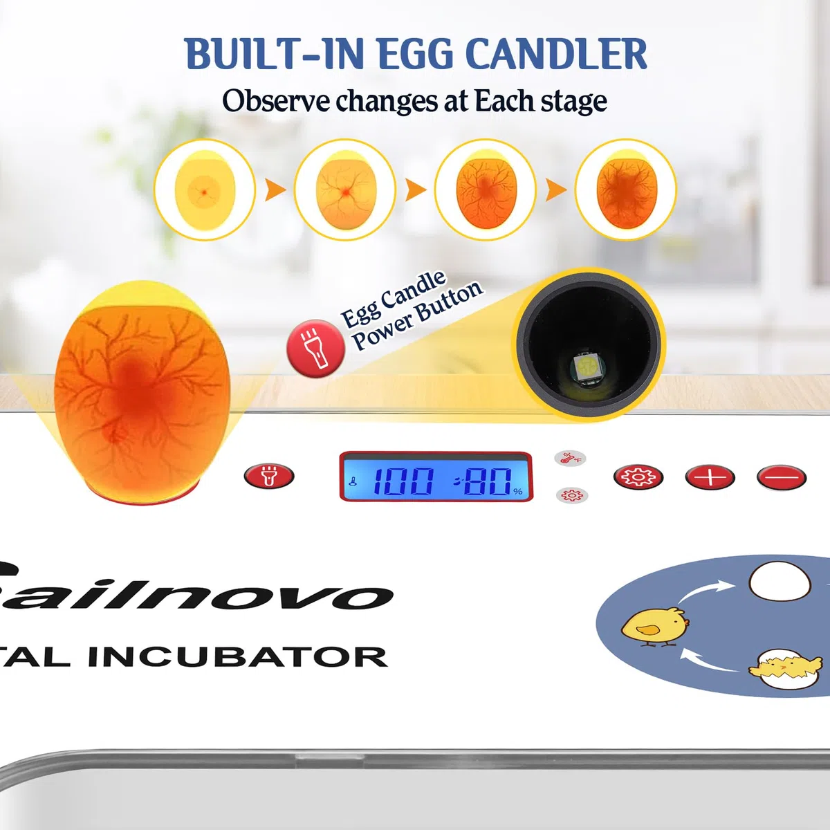 Sailnovo - 20 incubatrici per polli, altri uccelli + 20 uova + incubatrice completamente automatica + controllo della temperatura + indicatore di umidità + aggiunta di acqua esterna - bianco