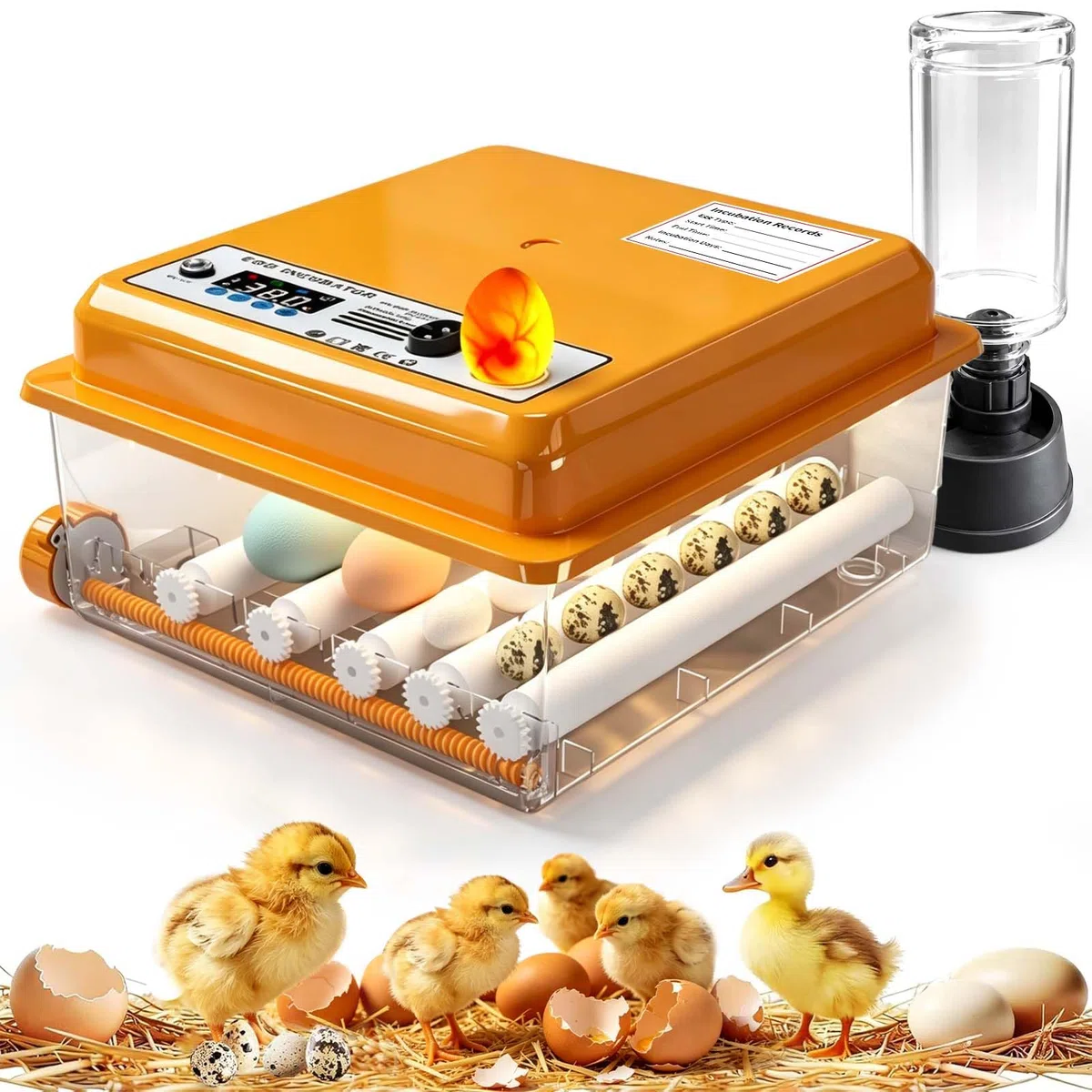 Incubatrice Per Uova Automatica Di Gallina, Incubatrice Uova Con Rotazione & Controllo Della Temperatura & Aggiunta Di Acqua | Lampada, Per Galline, Quaglie & Anatre