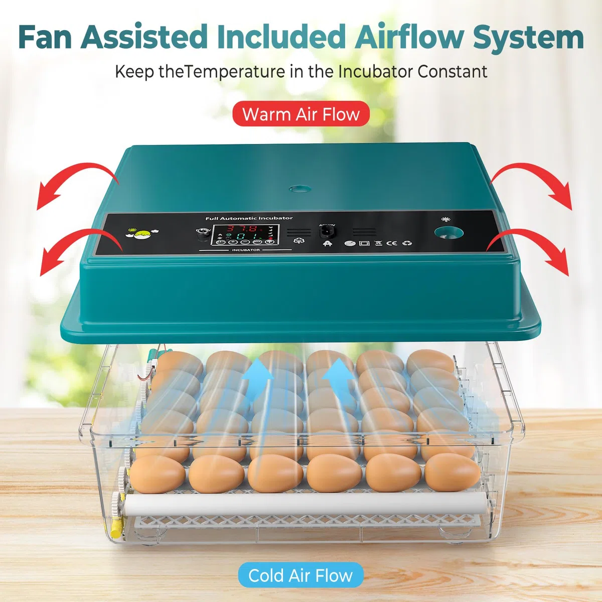 Incubatrice per Uova Automatica, Incubatrice per Uova Automatica 16-64 Uova con Rotazione Automatica delle Uova e Aggiunta di Acqua, Doppia Alimentazione, Controllo della Temperatura, Spia per Uova
