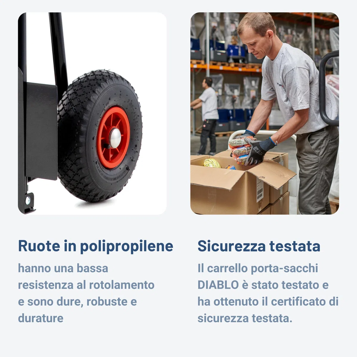 Pallit Carrello Portapacchi Pieghevole 200 kg - Struttura in Acciaio, Ruote Pneumatiche 250 mm, Impugnatura Ergonomica, Portasacchi Manuale DIABLO-F