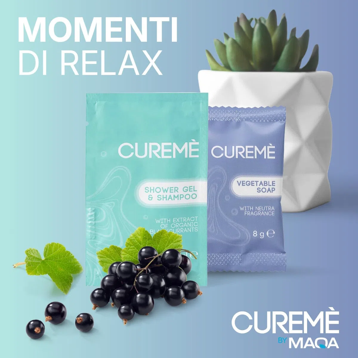 400 Kit Cortesia Bagno B&B e Hotel: 200 Shampoo Doccia Monodose in Bustina + 200 Saponette Monouso Neutre | Set Cortesia per Agriturismi, Case Vacanza, Affittacamere, Pronto all’Uso (400 Kit Cortesia)