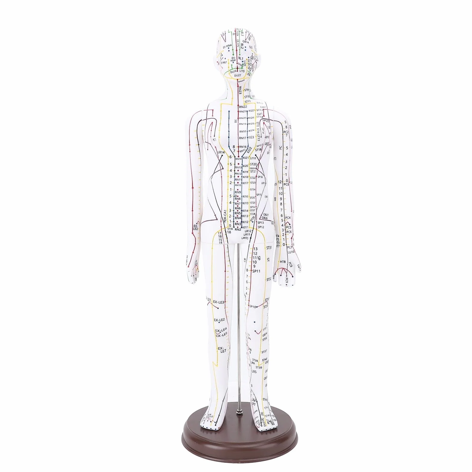52 Cm / 20,47 Pollici Bambola di Agopuntura, Modello di Agopuntura del Corpo Umano, Modello di Pressione di Manichino Maschile/femminile. (femmina)