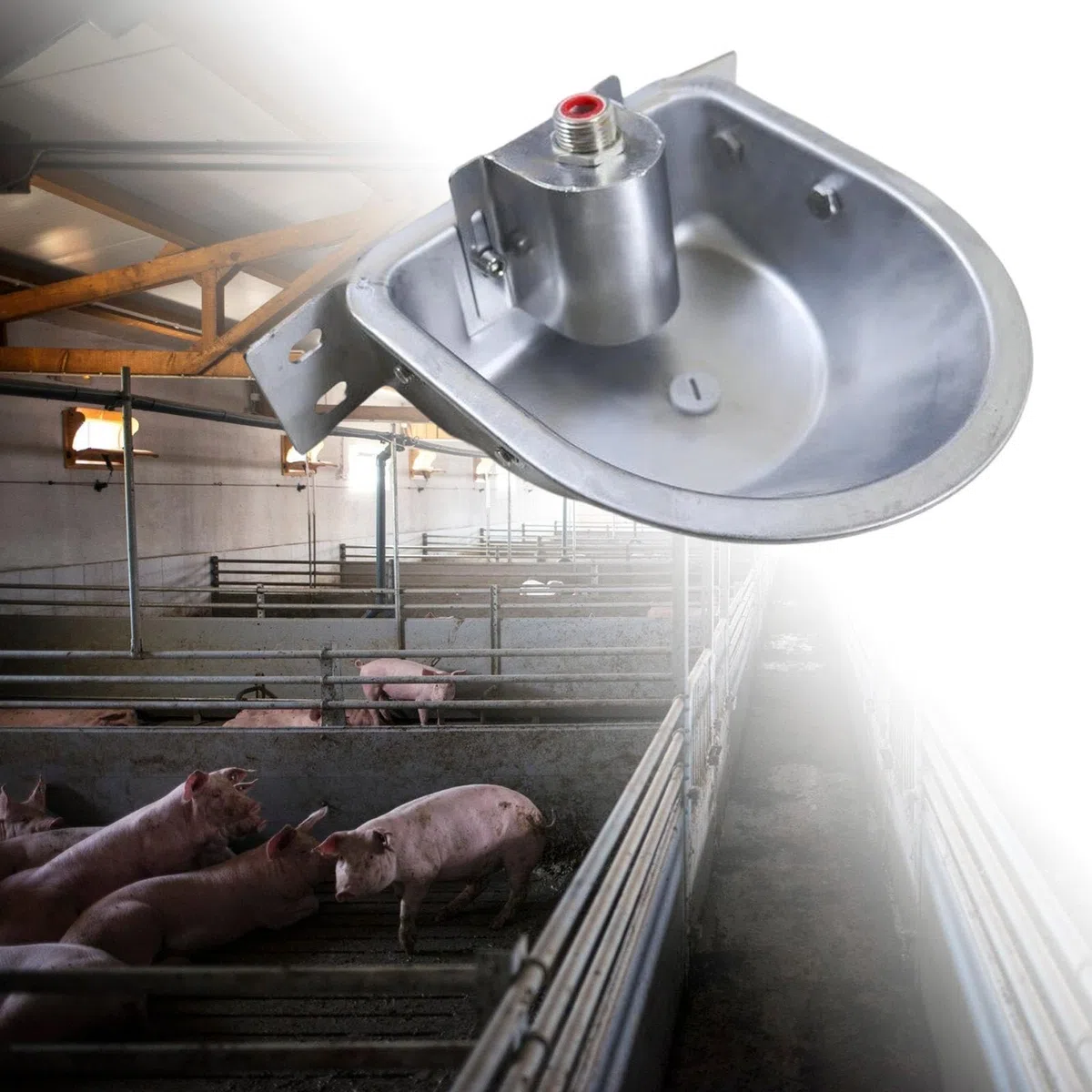 Fontana per abbeveratoio Automatica per Pecore, distributore Automatico di Acqua per bovini, maialini, vitelli, Prato, con Foro di Scarico