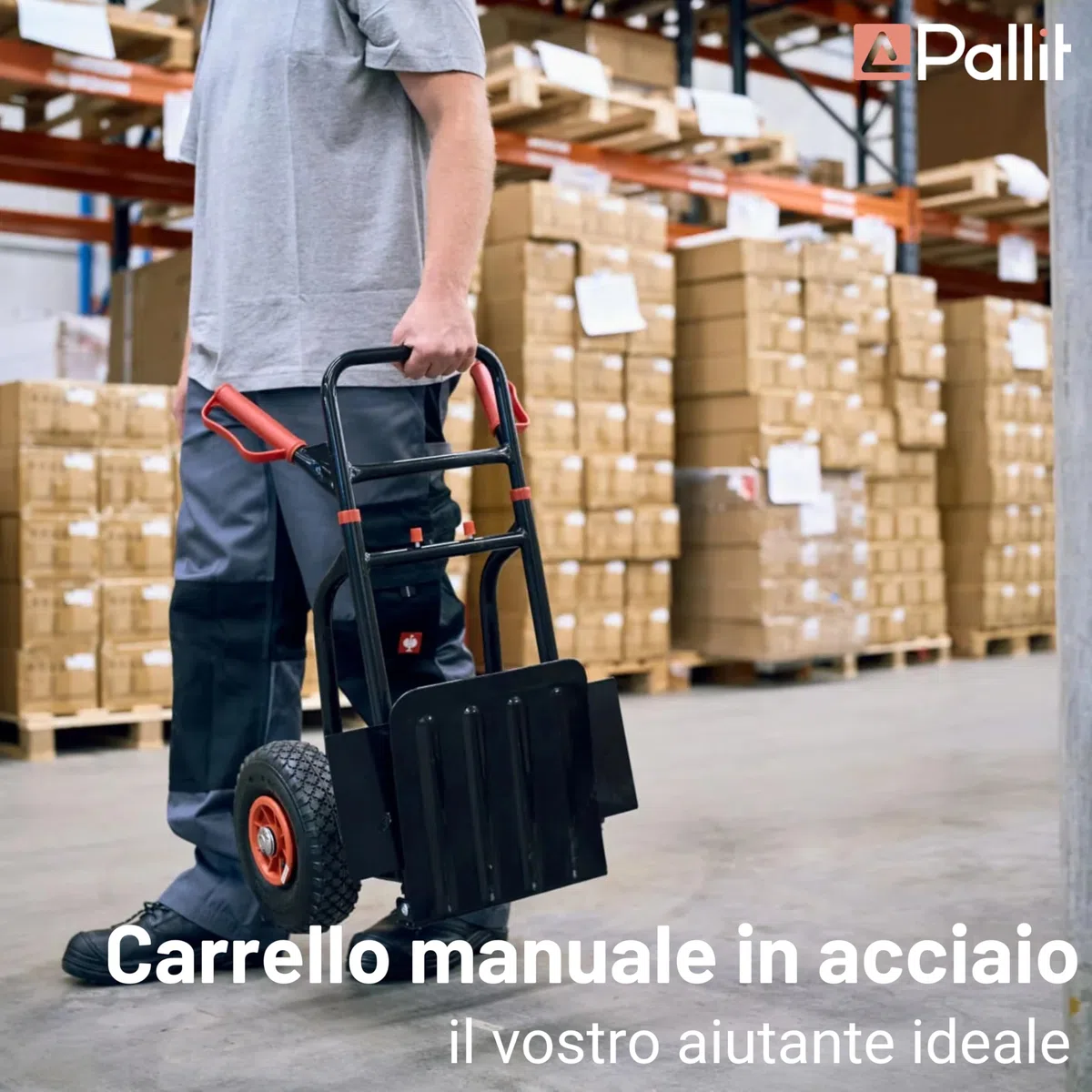 Pallit Carrello Portapacchi Pieghevole 200 kg - Struttura in Acciaio, Ruote Pneumatiche 250 mm, Impugnatura Ergonomica, Portasacchi Manuale DIABLO-F
