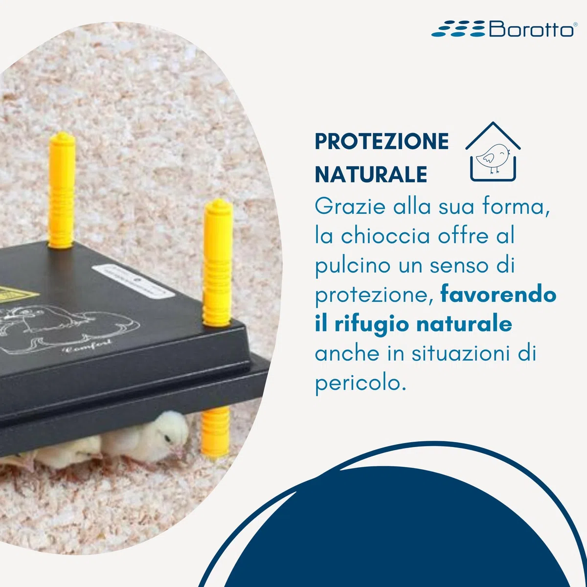 Borotto Chioccia Artificiale per Pulcini - Resistente, Facile da Pulire, Semplice da Usare - Ridotto Consumo di Energia Elettrica (15/20 Pulcini)