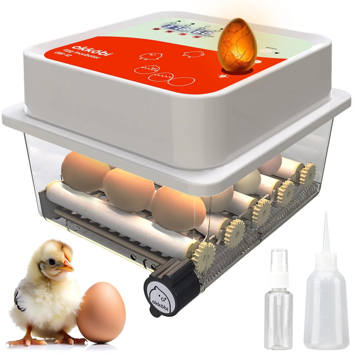 Incubatrice per Uova - 12 Uova - Ideale per Tutte Le età - Incubatrice per Uova Automatica Piccola con Girauova Automatico e Controllo umidità - Lampada sperauova - 5 Anni di Garanzia OBI-12
