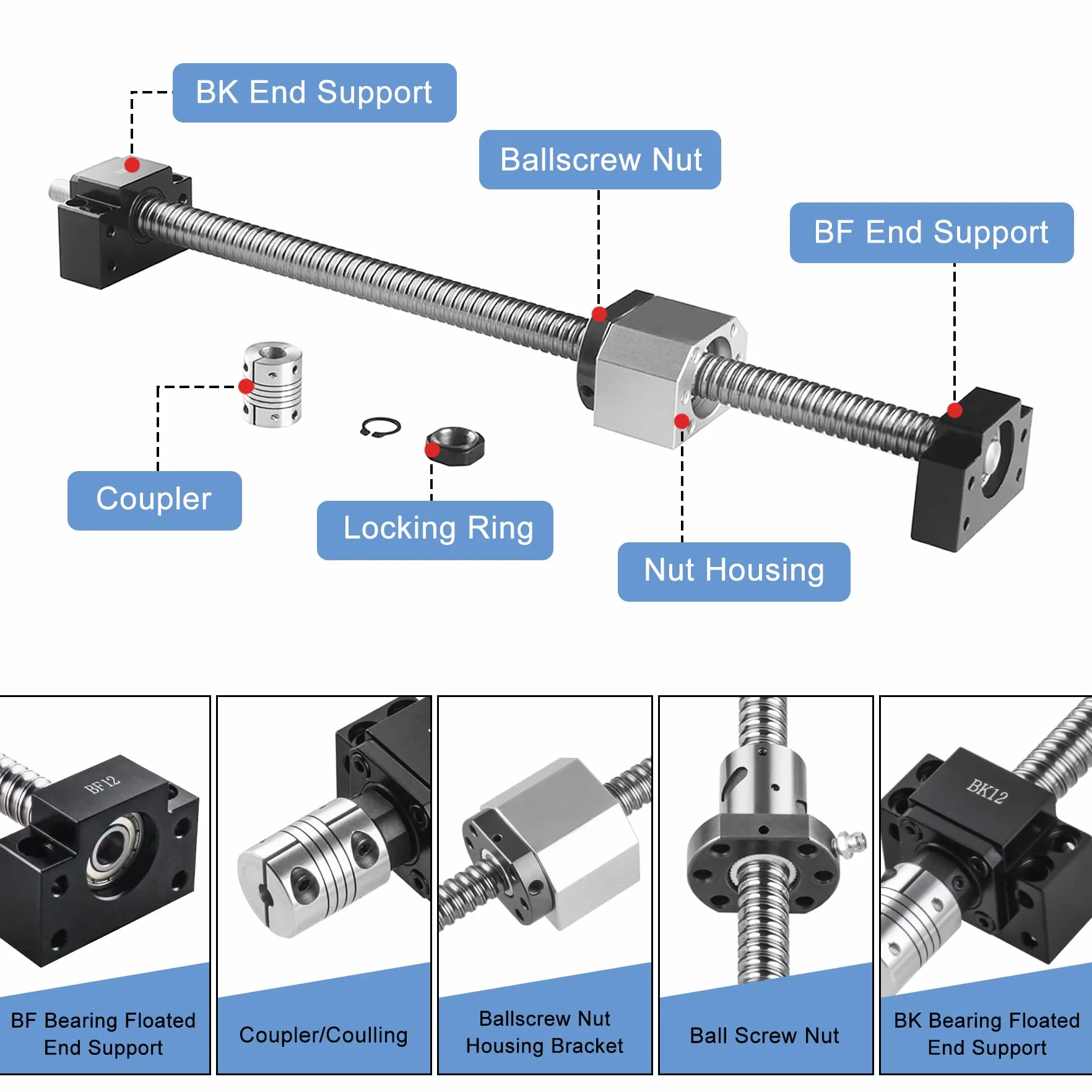 CNCMANS SFU1605 - Vite a sfera in acciaio INOX, 250 mm, con supporto terminale, attacco BK12/BF12, attacco e alloggiamento dado DSG16H, componenti CNC per macchine e apparecchiature automatizzate