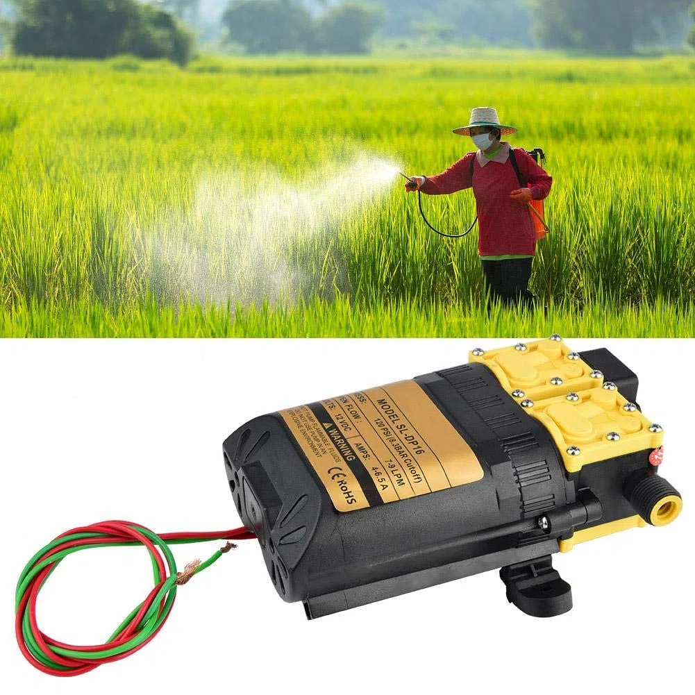 12V CC Pompa Elettrica, Pompa Irroratrice Agricola, Pompa Acqua ad Alta Pressione Multifunzionale, Pompe Autoadescanti per Barca da Diporto Agricoltura