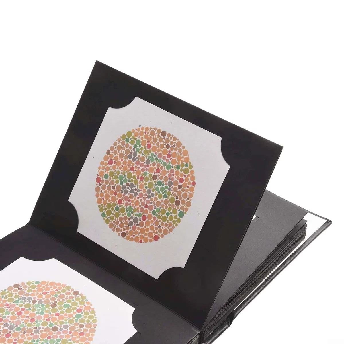 Ishihara - Libro di test di optometria con design unico dell'album, include 38 piastre di prova essenziali