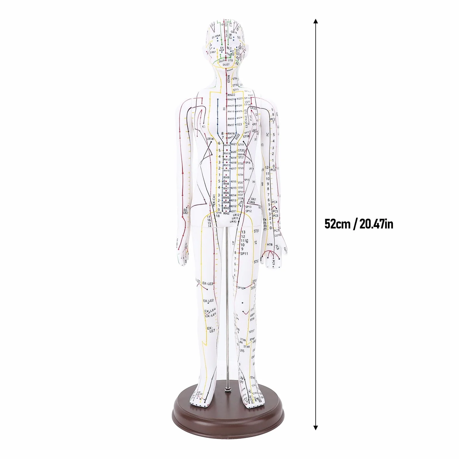 52 Cm / 20,47 Pollici Bambola di Agopuntura, Modello di Agopuntura del Corpo Umano, Modello di Pressione di Manichino Maschile/femminile. (femmina)