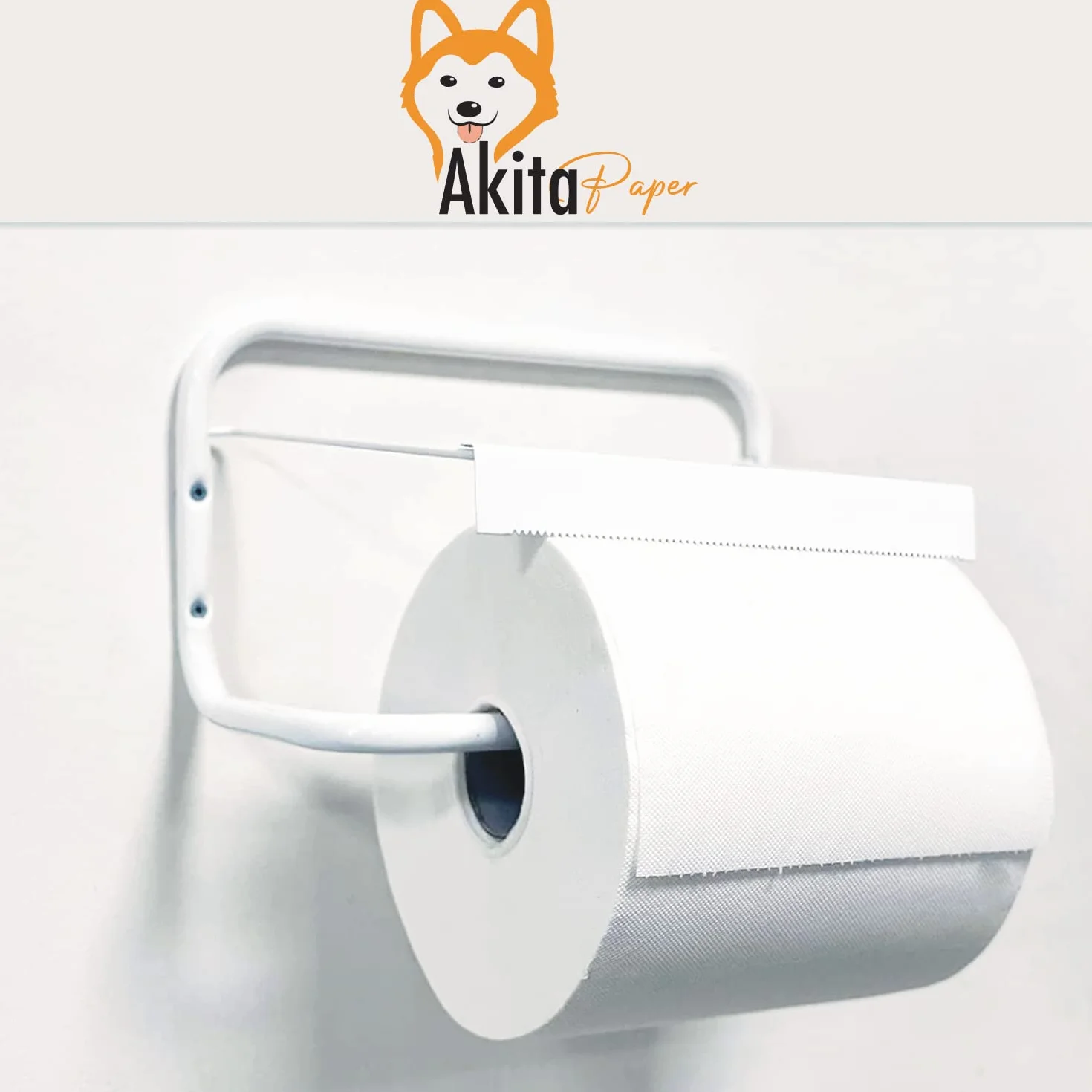 Carta Asciugatutto 6400 strappi 8 Kg 2 veli pura cellulosa Microgoffratura Rotoloni uso alimentare