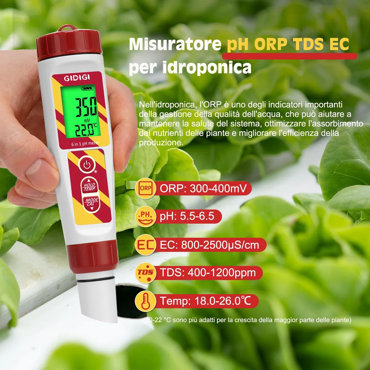 Misuratore pH digitale, 6 in 1 TDS EC Sale Temperatura pH ORP Tester con ORP 222mV Soluzione di calibrazione per piscina, spa, acqua potabile, idroponica, acquacoltura, trattamento delle acque,birra