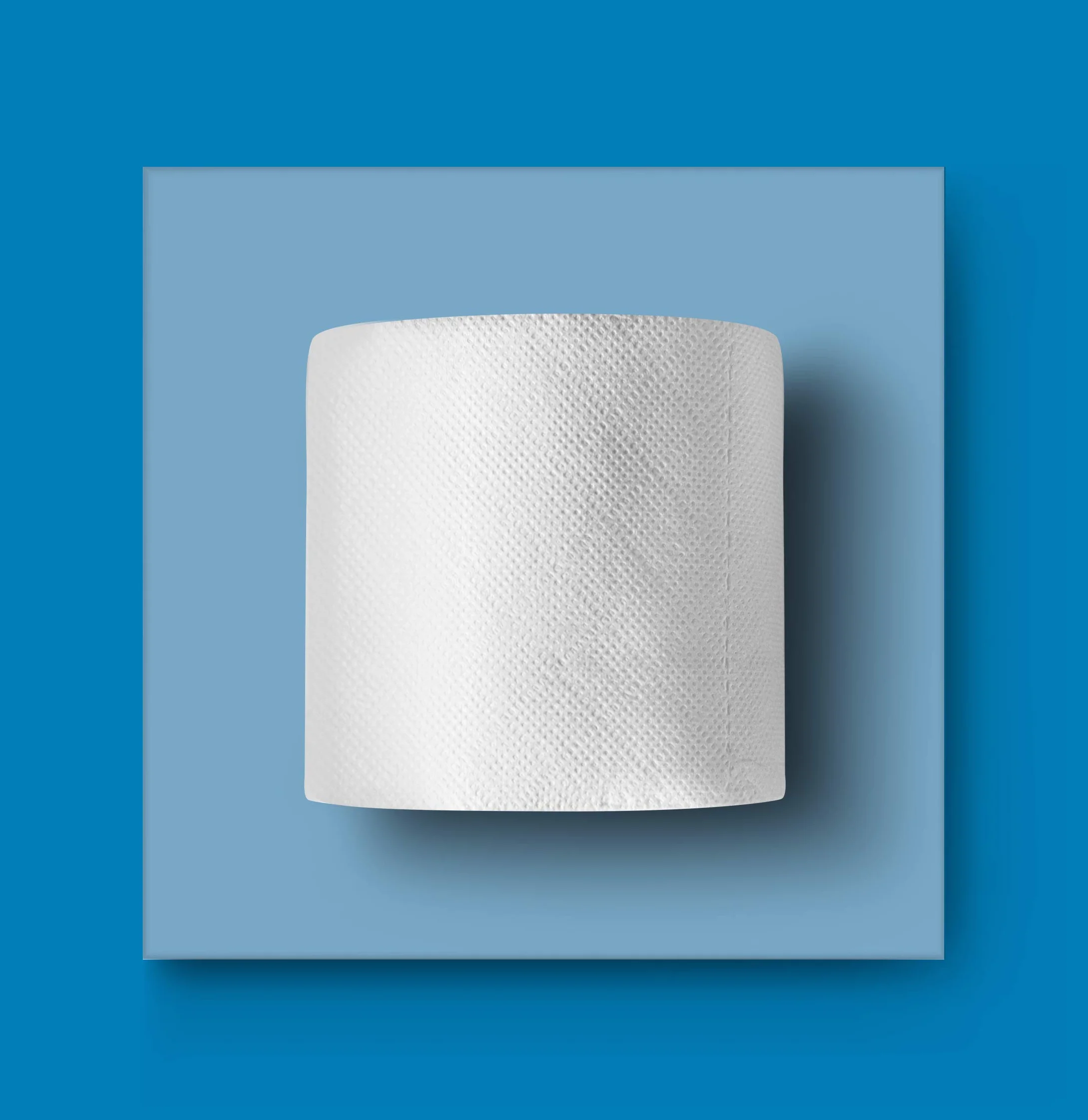 AmazonCommercial Carta igienica 2 veli pura cellulosa 120 rotoli 180 fogli per rotolo 9,5cm x 11cm