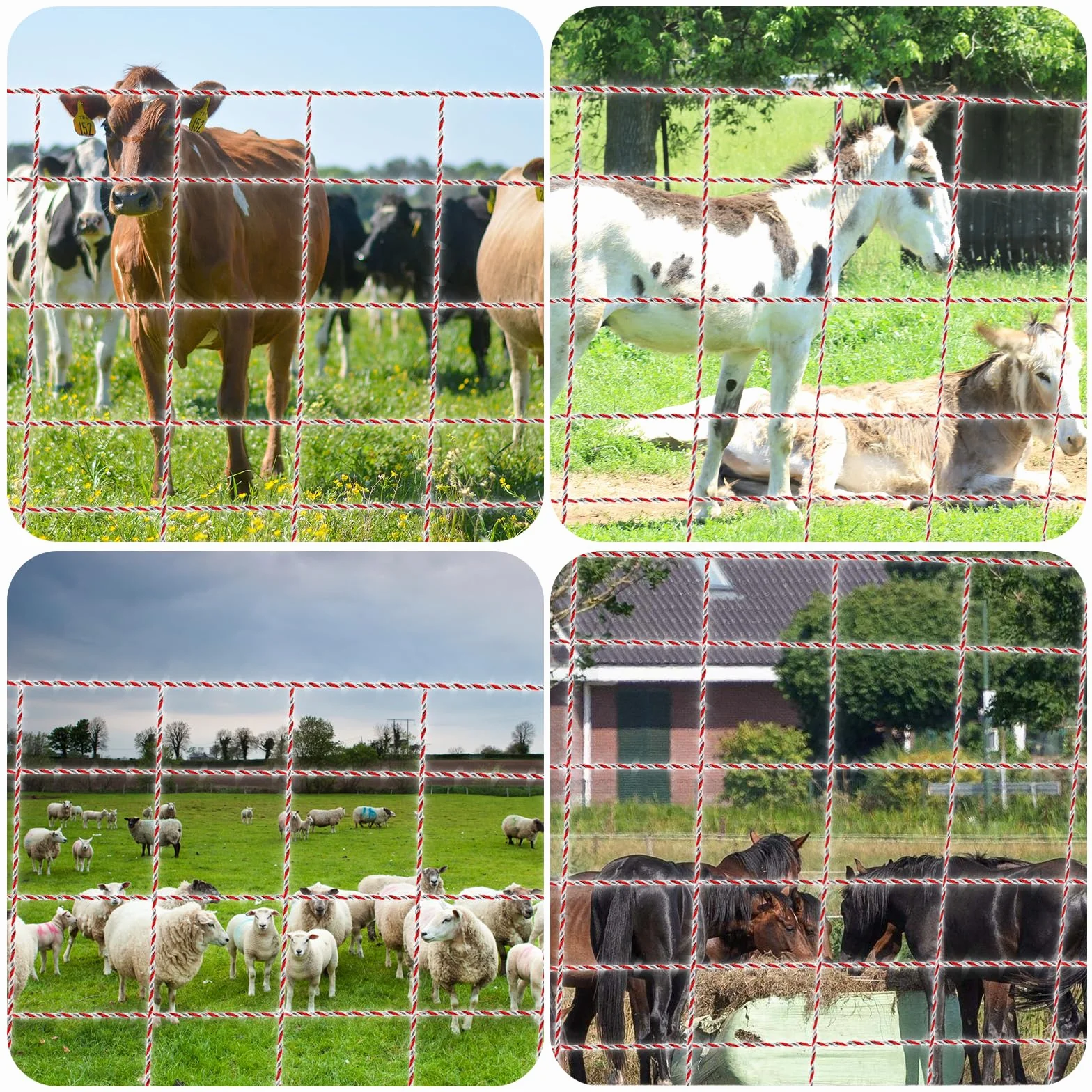 1000M Corda per Recinzione Elettrica, Recinzione di Filo Per Bestiame In Acciaio Inox Corda Conduttore Per Recinzione Elettrica Accessori per Recinzione (Rosso+Bianco, 1000M)