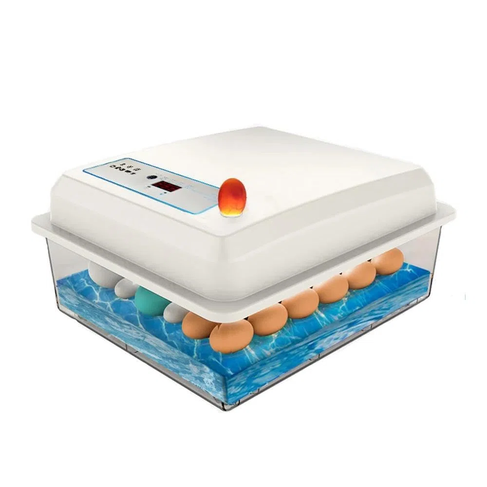 Incubatrice automatica per 20 uova, completamente automatica, con funzione di riempimento dell'acqua, schermo di visualizzazione, rotazione automatica, pollaio incubatrice per polli, quaglie (20 uova)